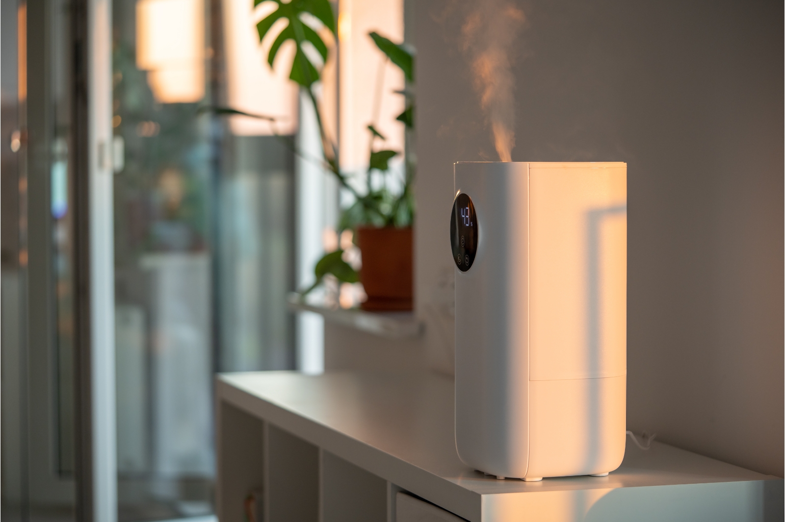 Home Air Purifier Improving Indoor Air Quality In Wichita Ks